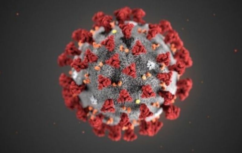 7034 са новите случаи на коронавирус у нас, положителни са 17,7% от пробите
